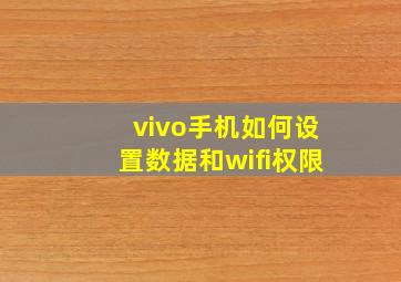 vivo手机如何设置数据和wifi权限