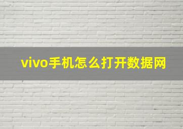 vivo手机怎么打开数据网