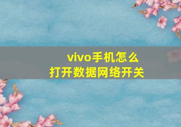 vivo手机怎么打开数据网络开关