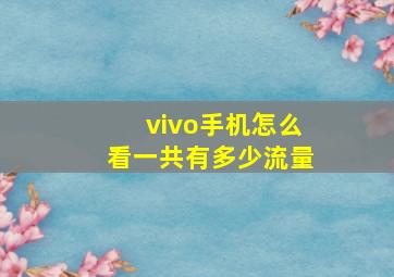 vivo手机怎么看一共有多少流量