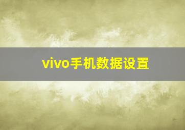 vivo手机数据设置