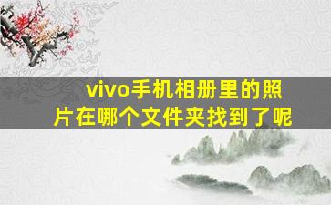 vivo手机相册里的照片在哪个文件夹找到了呢