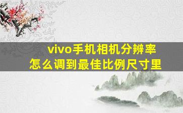 vivo手机相机分辨率怎么调到最佳比例尺寸里