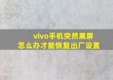 vivo手机突然黑屏怎么办才能恢复出厂设置