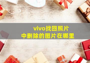 vivo找回照片中删除的图片在哪里