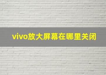 vivo放大屏幕在哪里关闭