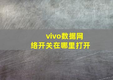 vivo数据网络开关在哪里打开