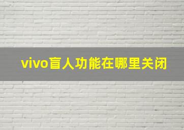 vivo盲人功能在哪里关闭