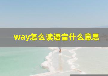 way怎么读语音什么意思