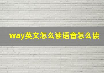 way英文怎么读语音怎么读