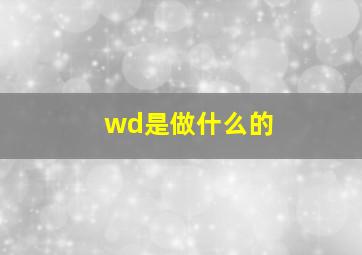 wd是做什么的