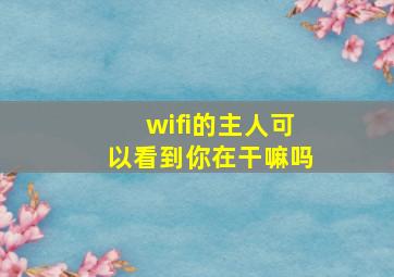 wifi的主人可以看到你在干嘛吗