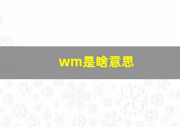 wm是啥意思