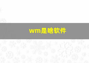 wm是啥软件