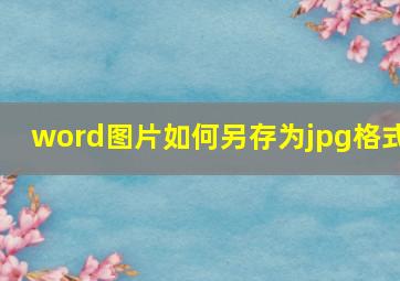 word图片如何另存为jpg格式