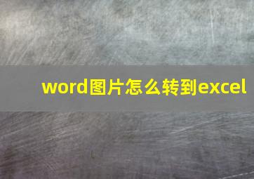 word图片怎么转到excel