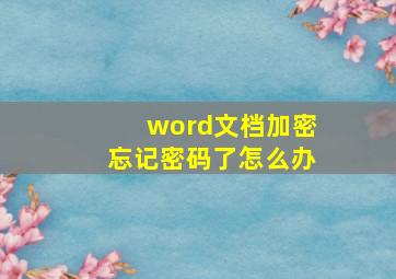 word文档加密忘记密码了怎么办