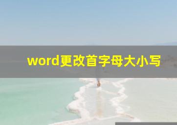 word更改首字母大小写