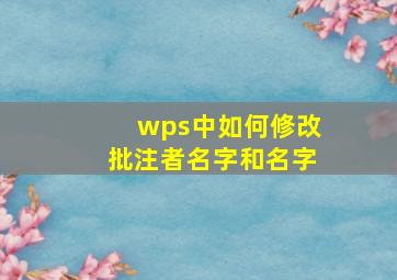 wps中如何修改批注者名字和名字