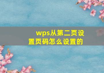 wps从第二页设置页码怎么设置的