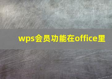 wps会员功能在office里