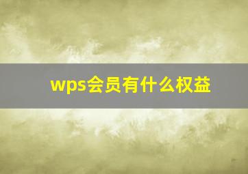 wps会员有什么权益