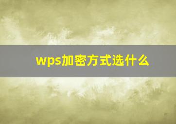 wps加密方式选什么