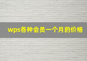 wps各种会员一个月的价格