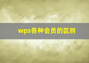 wps各种会员的区别