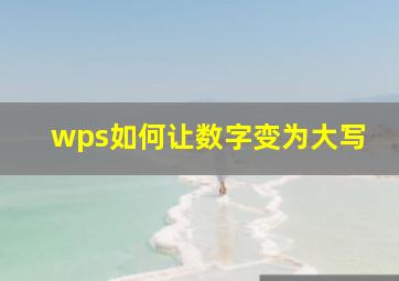 wps如何让数字变为大写