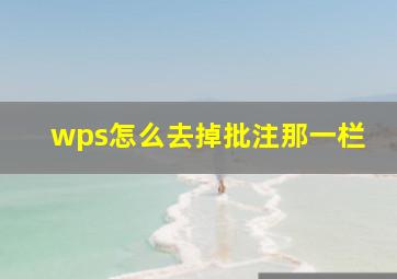 wps怎么去掉批注那一栏