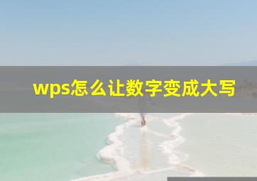 wps怎么让数字变成大写