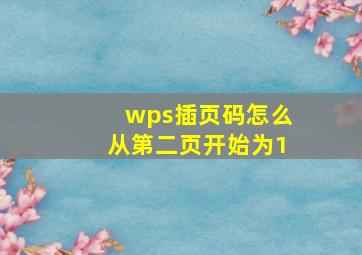 wps插页码怎么从第二页开始为1