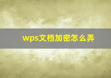 wps文档加密怎么弄