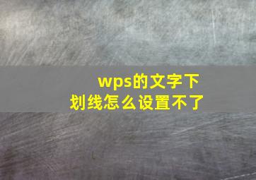 wps的文字下划线怎么设置不了