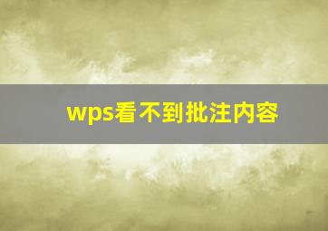 wps看不到批注内容