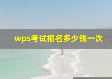 wps考试报名多少钱一次