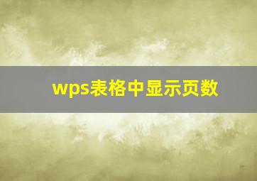 wps表格中显示页数