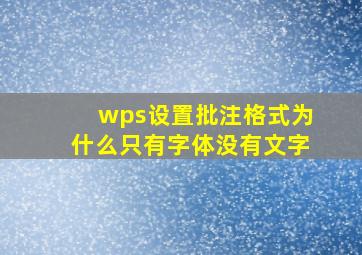 wps设置批注格式为什么只有字体没有文字