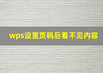 wps设置页码后看不见内容