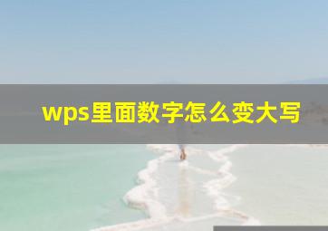 wps里面数字怎么变大写