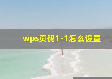 wps页码1-1怎么设置