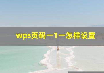 wps页码一1一怎样设置