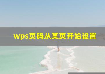 wps页码从某页开始设置