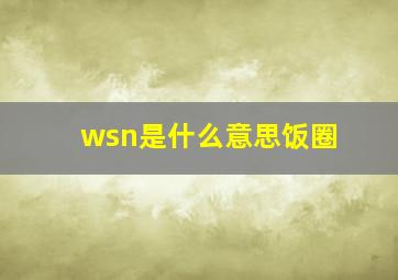 wsn是什么意思饭圈