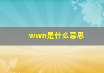 wwn是什么意思