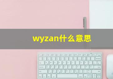 wyzan什么意思