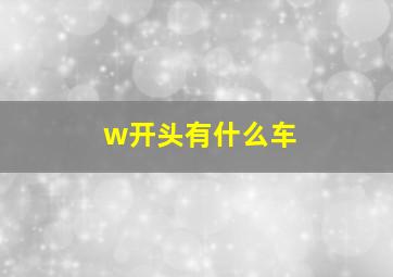 w开头有什么车