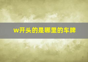 w开头的是哪里的车牌