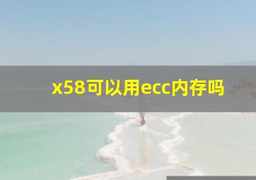 x58可以用ecc内存吗